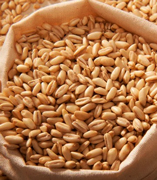 Organic Barley is a Made in Peru superfood