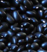 Black beans superfoods to the  B2B distribution