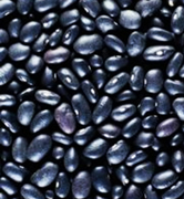 Black turtle beans, for superfoods global B2B market