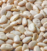 Butter lima superfoods to the  B2B distribution