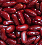 Cherry beans, for superfoods global B2B market