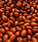 Ucayalino beans, for superfoods global B2B market
