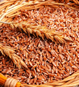 Wheat whole peeled superfood Made in Peru