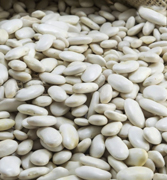 White kidney beans, for superfoods global B2B market